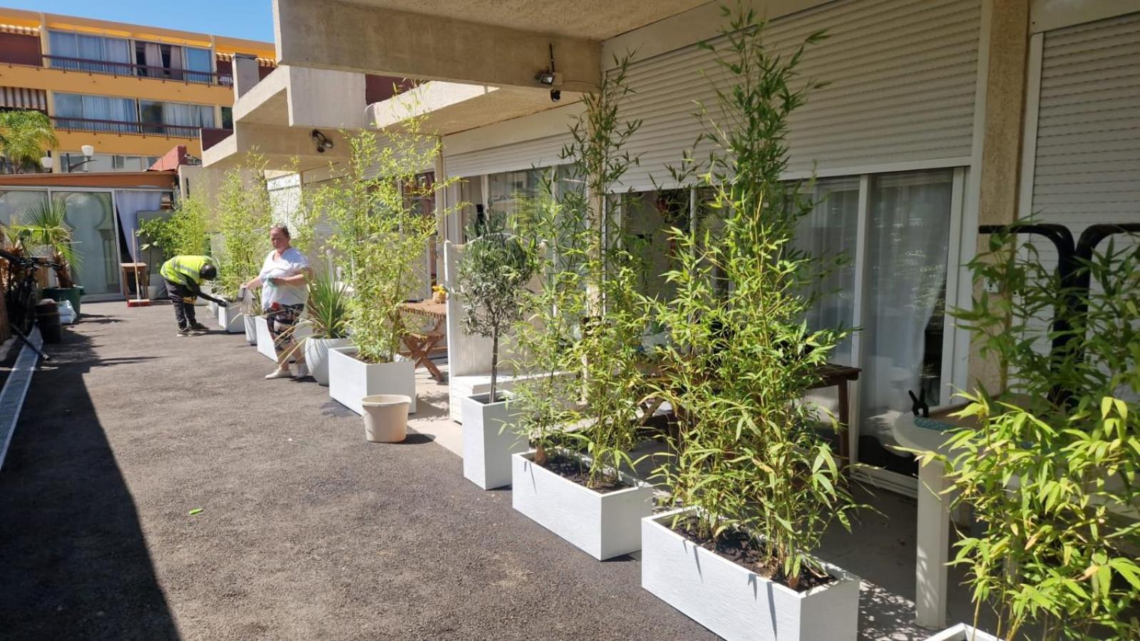 Asklan Apartment Bormes-les-Mimosas Exterior photo