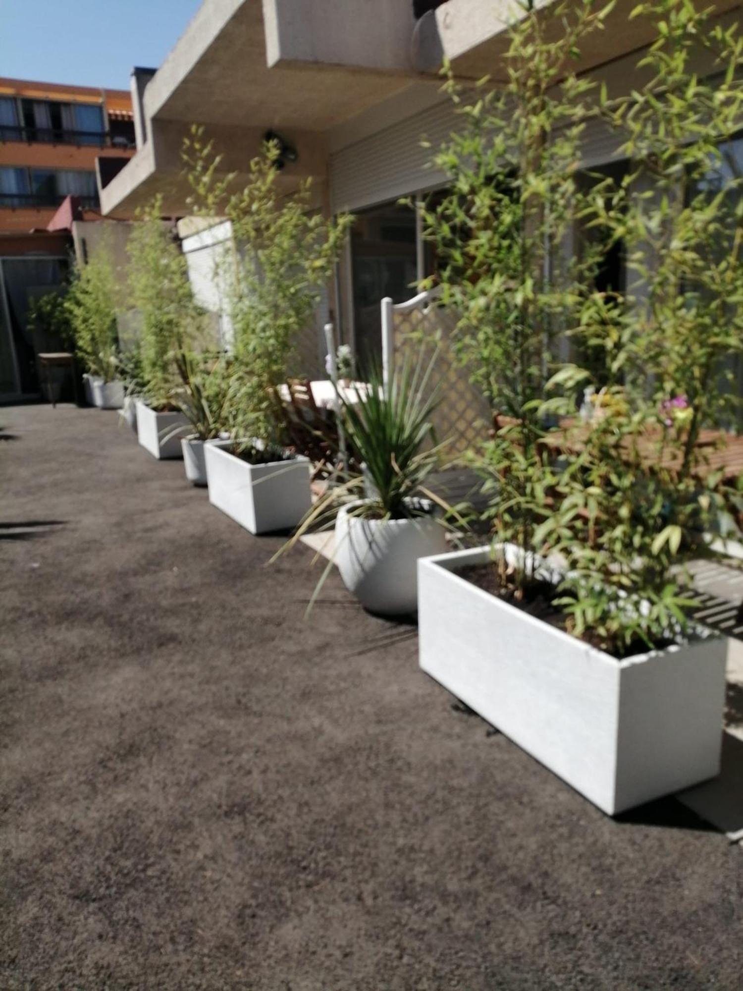 Asklan Apartment Bormes-les-Mimosas Exterior photo
